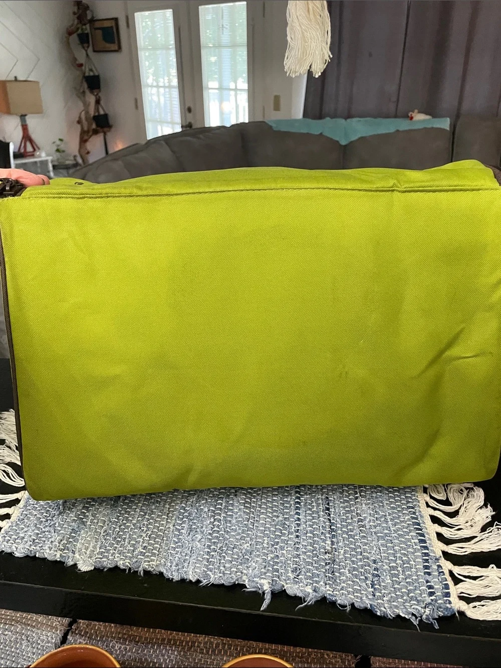 Rachael Ray Lime Green Striped Carry Case